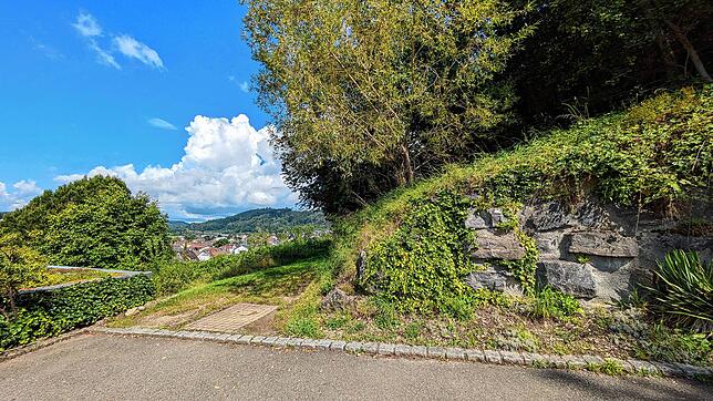 Für das Neubaugebiet Schiltbühl II soll diese Straße eines Tages weitergehen. Es wird dort liegen, wo jetzt Büsche und Bäume sind. Auch ...
