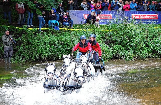 Bei der diesjährigen Ausgabe hätten eigentlich nicht nur die Ponys, wie hier im Bild, durch die Brigach galoppieren sollen. Die ...