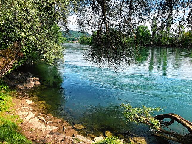 Bild 10: Wandern vor der Haustür (Teil 4): Durch den Bürgerwald zum Küssaberger Rheinufer