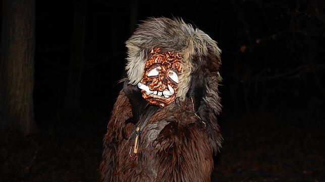 Bild 3: Konstanzer Fasnacht: Bilder vom Fackelumzug durch den Uniwald