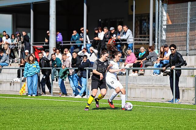 Bild 5: Unsere Bildergalerie vom 7:0-Sieg der SG Marbach gegen die SG Neukirch/Hammereisenbach