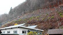 Der Hochenergiezaun trennt die Häuser in der Gisibodenstraße von den gefährlichen Felsen im Steilhang.