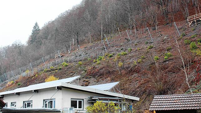 Der Hochenergiezaun trennt die Häuser in der Gisibodenstraße von den gefährlichen Felsen im Steilhang.