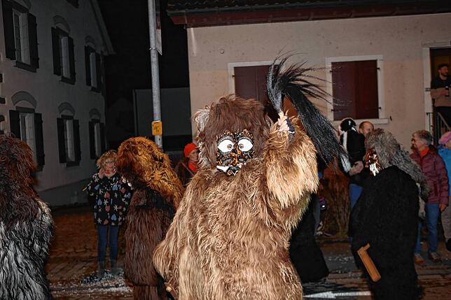 Bild 36: Die schönsten Bilder vom Seenarrentreffen am Samstag in Allensbach