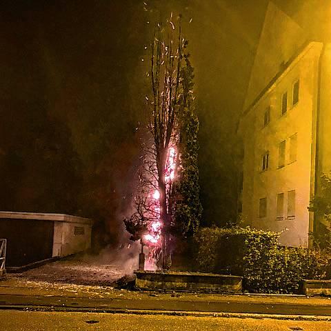 Ein Anwohner hat der Radolfzeller Feuerwehr ein Foto des brennenden Baums geschickt.