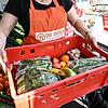 Eine Mitarbeiterin des Tafel-Ladens in Singen trägt eine Kiste voll mit Obst und Gemüse. Für Menschen in Not sind die Tafeln in ...