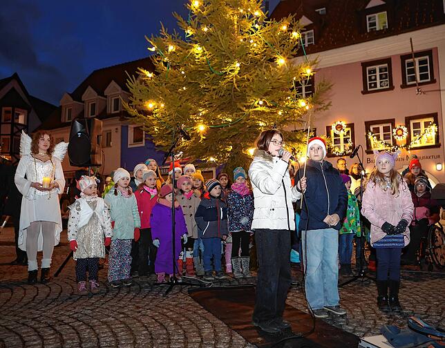 Bild 7: Stimmungsvoller Auftakt des Donaueschinger Adventsmarktes