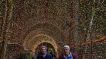 Ein Spaziergang durch den 80 Meter langen Lichtertunnel ist ein besonderes Erlebnis für die Besucher.