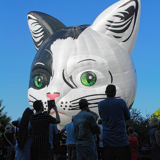 Der Start der Heißluftballons gehört zu den Spektakeln im Seeburgpark.