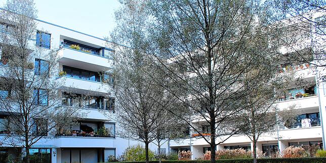 Einer der Innenhöfe des Quartiers: viel grün und große Bäume.