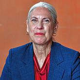 SBFV-Vizepräsidentin Ute Wilkesmann (Überlingen): „Wir finden im Verband sicher eine passende Aufgabe für Katharina Keßler, die im ...