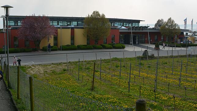 Die 2003 eröffnete Meersburg Therme ist in die Jahre gekommen, in den nächsten Jahren sind hohe Investitionen nötig, um sie ...