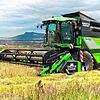 Der Mähdrescher von Landwirt Stefan Leichenauer kommt nicht nur auf dem eigenen Hof zum Einsatz, sondern hilft derzeit auch anderen ...
