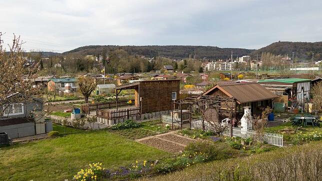 Die Kleingartenanlage am Kaltenbach in Tiengen, direkt am Wutachufer, ist für viele Familien aus der Region ein idyllischer Rückzugsort ...