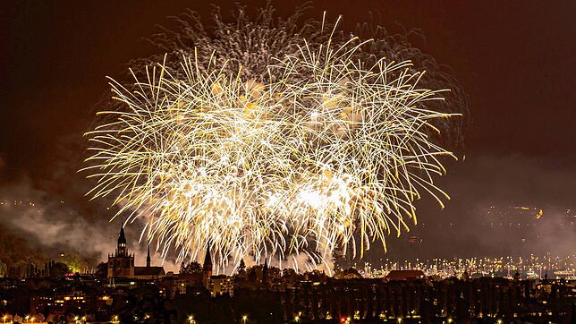 Das Feuerwerk ist Höhepunkt des Konstanzer Seenachtfestes. Viele Besucher kommen nur wegen dieses Ereignisses.