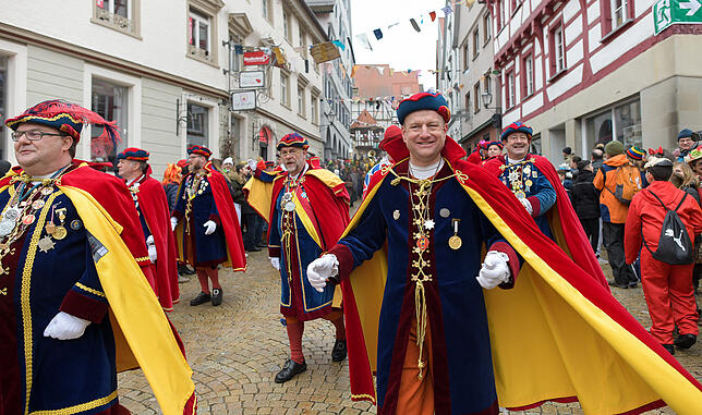 Bild 18: Tausende Hästräger und Musiker in Pfullendorf: Bilder vom Umzug (3)
