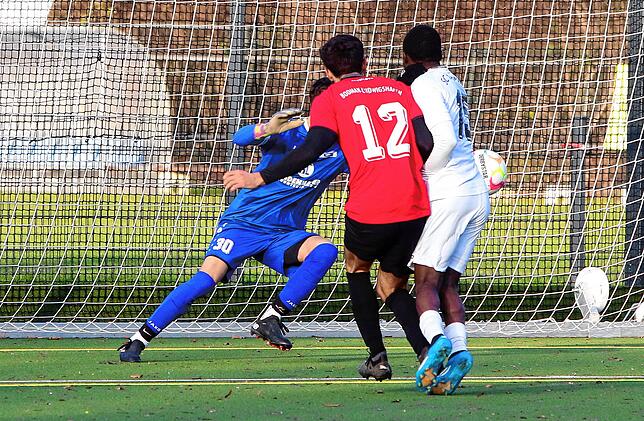 Bild 11: SC Markdorf gewinnt letztes Heimspiel 2024 mit 3:0 gegen FC Bodman-Ludwigshafen. Die besten Bilder!