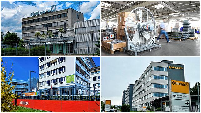 Echte Hilfe oder eher ein Paketle? Unternehmen aus der Region kommentieren das Innovationspaket der Bundesregierung (von links oben im ...