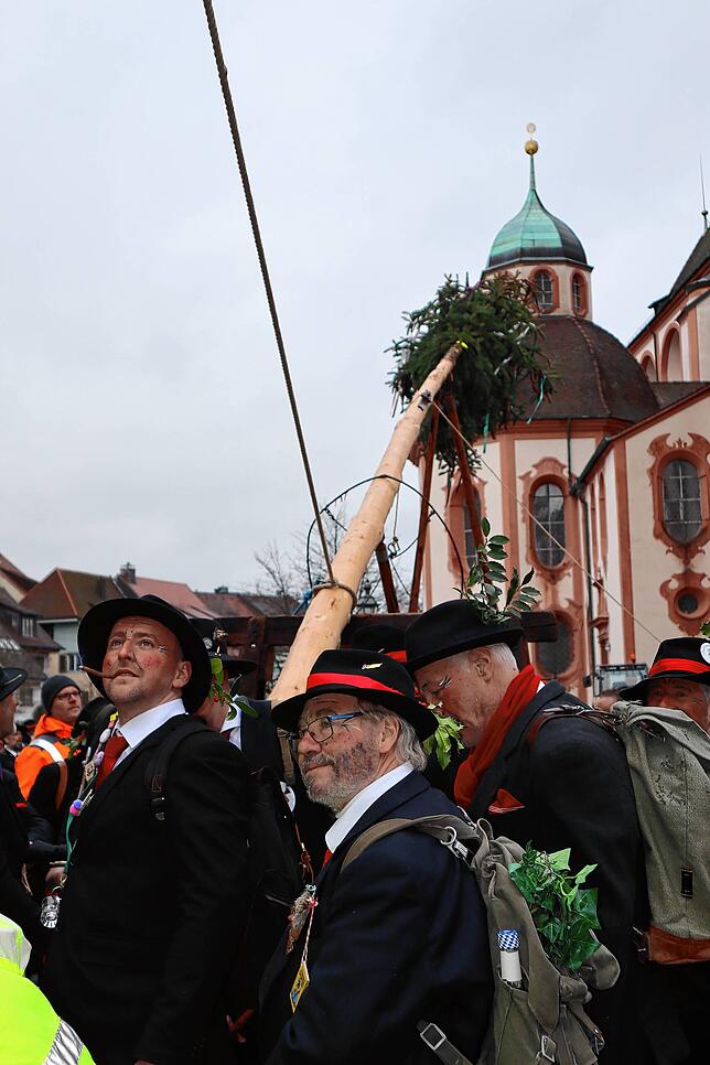 Der Baum wird immer höher gehievt.