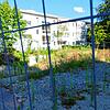 Auf diesem Grundstück soll nächstes Jahr mit dem Neubau einer Wohnanlage für das Bürgerheim begonnen werden.