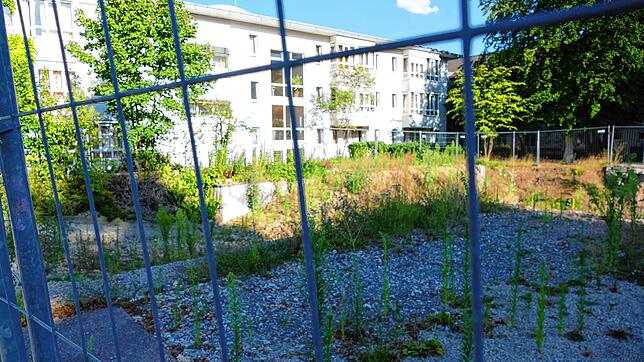 Auf diesem Grundstück soll nächstes Jahr mit dem Neubau einer Wohnanlage für das Bürgerheim begonnen werden.