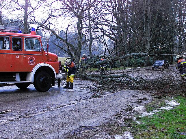 Feuerwehrleute beseitigen die Sturmschäden des 26. Dezember 1999 in der Oberen Waldstraße in Villingen.