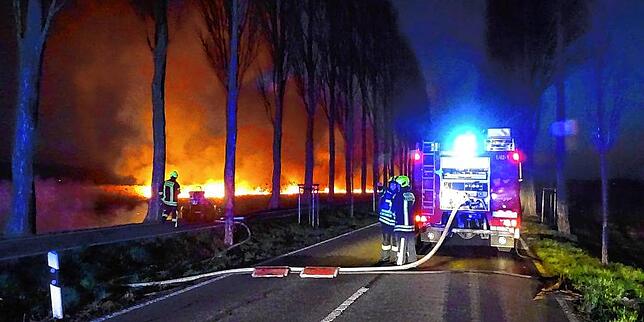 Beim Brand auf dem Reichenauer Inseldamm sind zahlreiche Kräfte im Einsatz. Mehrere Stunden kämpfen sie gegen die Flammen.