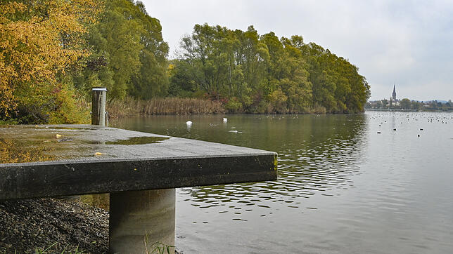 Der Steg des Technischen Hilfswerks hinter dem Bodenseereiter soll bei der Ausweisung eines Feriendorfs im Streuhau (im Hintergrund) ...