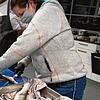 Gar nicht so einfach: Einen Fisch zu filetieren, erfordert viel Fingerspitzengefühl.