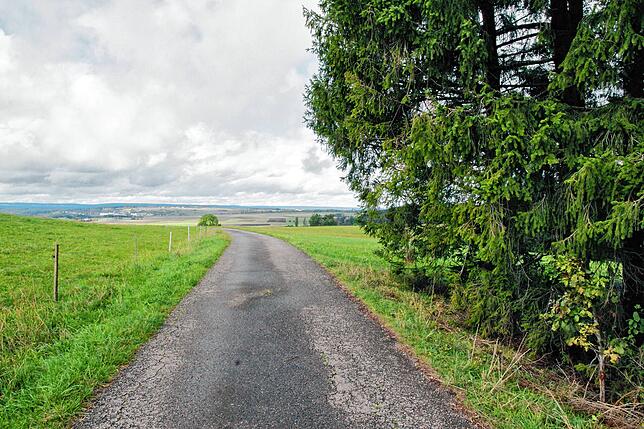 Blick über die Baar. Weit oberhalb von Mundelfingen sind kaum Menschen unterwegs. Im Wald rechts stellt Monika Lobe-Walz ihr E-Bike ab, ...