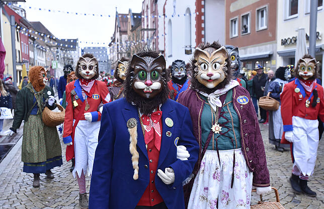 Bild 2: Bilder vom Einmarsch der Katzenmusik