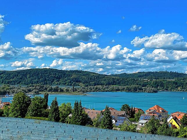 Blick Richtung Naturschutzgebiet vom Wassertürmle Bodman aus.