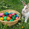 Ein Osternest mit bunten Eiern und ein Osterhase, diese Symbole verbinden wohl die meisten Menschen mit Ostern.