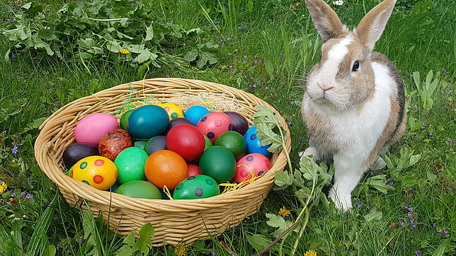 Ein Osternest mit bunten Eiern und ein Osterhase, diese Symbole verbinden wohl die meisten Menschen mit Ostern.