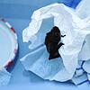 Die kleine Fledermaus &ndash; es könnte eine Weißrand- oder eine Zwergfledermaus sein &ndash; schaut sich ihren Kurzfrist-Schlafplatz an.