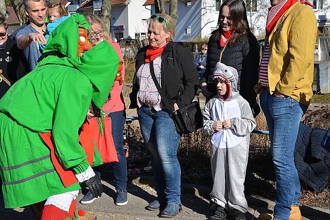 Bild 48: Bilder vom Narrentreffen der Urviecher-Zunft Bad Dürrheim: Großer Festumzug (2)