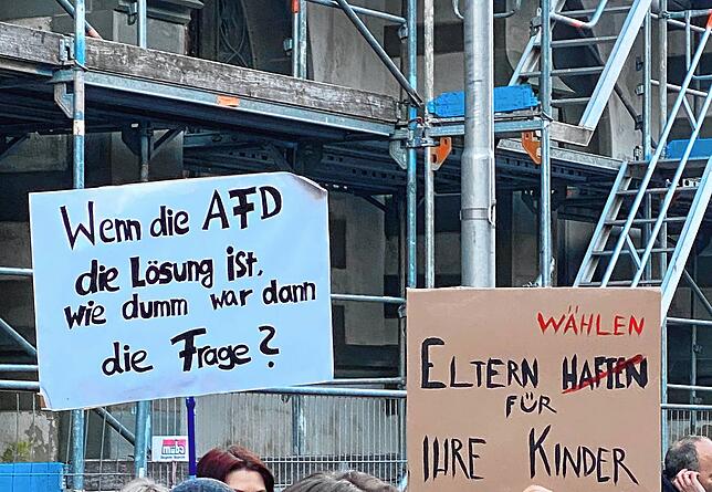 Bild 10: &bdquo;Deutschland ist bunt&ldquo;: Bilder von der Demonstration gegen rechts in Radolfzell