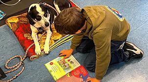 Hündin Villy verhilft Schülern zu mehr Sicherheit beim Lesen. Der Vorlesehund ist einer von vielen Projekten an der GMS Rheintal, um die ...