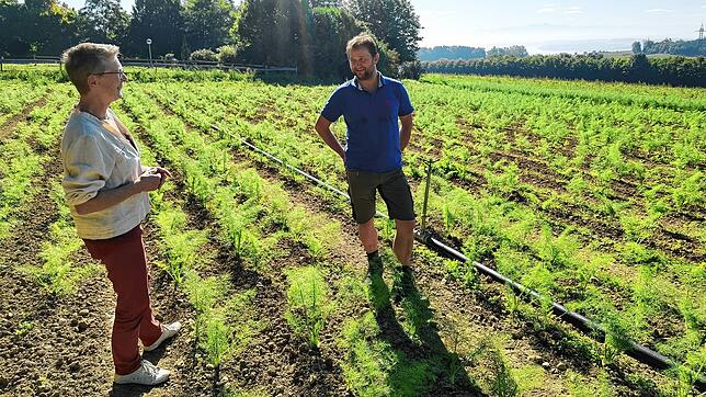 Anette Wilkening und Brachenreuthe-Landwirt Georg Biewer auf der künftigen Weltackerfläche – mit schönem Bodensee-Blick. Derzeit wächst ...