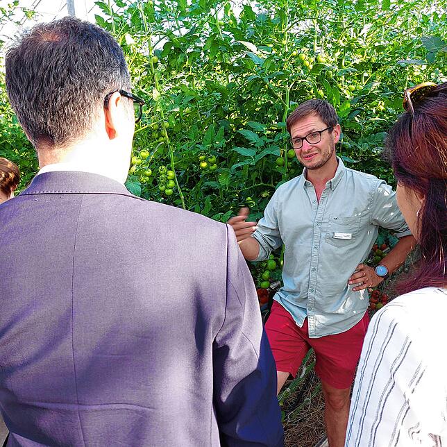 Der Junge Biogärtner Manuel Uricher erklärt Cem Özdemir und Nese Erikli in einem seiner Gewächshäuser, dass beim Anbau von Tomaten noch ...