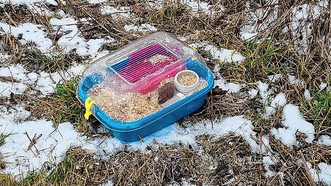 Helfer des Tierschutzverein bergen einen erfrorenen Hamster. Sie finden den Käfig im Industriegebiet Rammelswiesen in Schwenningen.