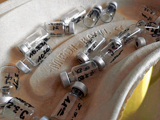 Leere Impfampullen liegen in einem Behälter. Jede einzelne enthielt sechs Dosen des Corona-Impfstoffs von Biontech-Pfizer, die von ...