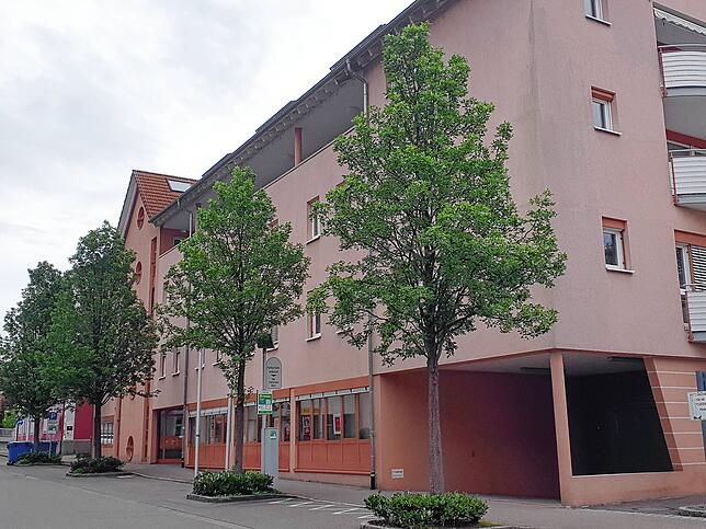 Bild 6: Mehr als Blumen und Stauden: So vielseitig sind die Aufgaben der Stadtgärtnerei Waldshut-Tiengen