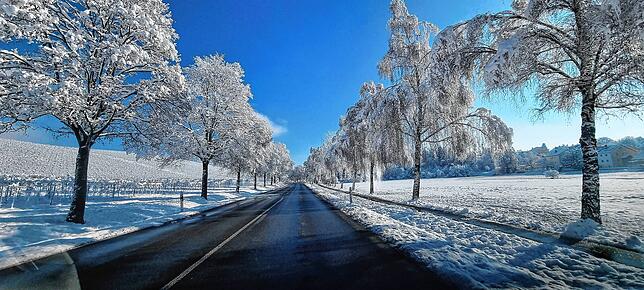 Bild 15: Was für ein Wintereinbruch am Bodensee: Die schönsten Schnee-Bilder vom Wochenende
