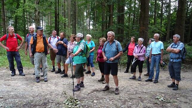Die ehemalige Mülldeponie auf dem einstigen Abraumgebiet der Ziegelei Ott im Bannholz ist mittlerweile verfüllt und Gras und Bäumen ...