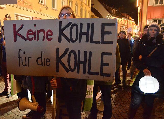 Bild 6: Bilder von der zweiten Klima-Demo in der Markdorfer Innenstadt