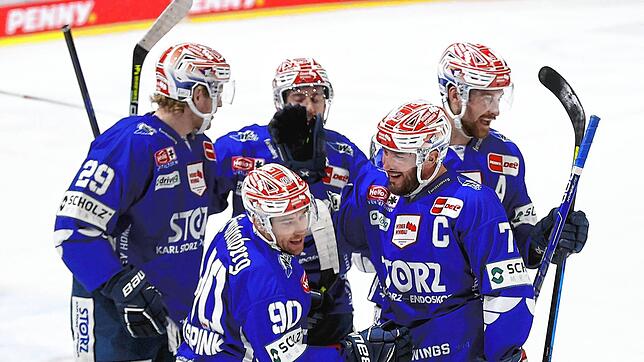 Jubel bei den Wild Wings: Soeben hat Tylor Spink (vorne, Nummer 90) den Treffer zum 2:0 erzielt.