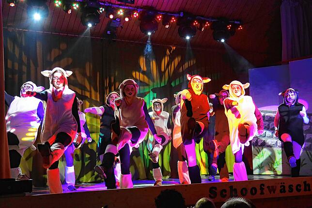 Bild 17: Bunter Abend der Stahringer Schoofwäscherzunft: Ein unvergessliches Show-Erlebnis in der Homburghalle