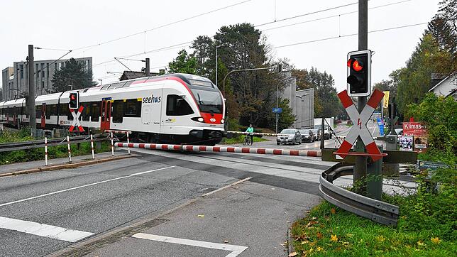 Der Bahnübergang in der Schaffhauser Straße in Singen: Ab 28. Oktober ist auch hier für zwei Wochen wegen Gleisbauarbeiten gesperrt.