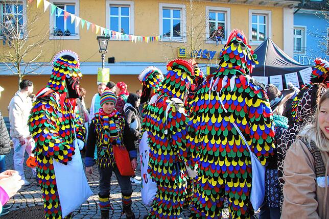 Bild 19: Fasnachts-Auswerfen und Narrenbaumstellen: Bilder des Hochrhein Narrentreffens in Tiengen (Teil 1)
